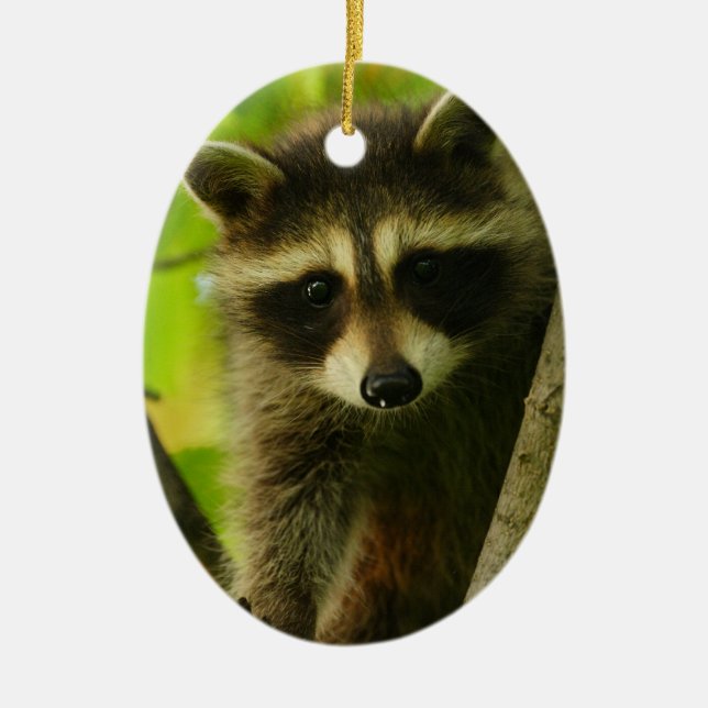 racoon ceramic tree decoration (Front)