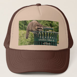 racoon, chillin like a villian trucker hat