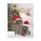 Racoon Christmas A Time For Fun