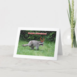 Racoon Christmas Holiday Card