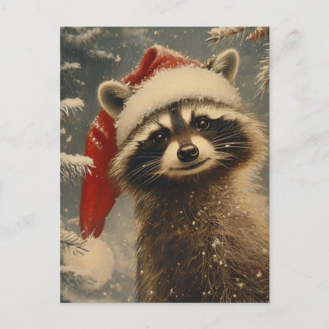 Racoon Christmas  Postcard (Front)