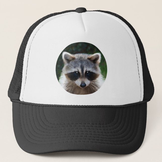 Racoon Coon Wild Animals Wildlife Hat (Front)