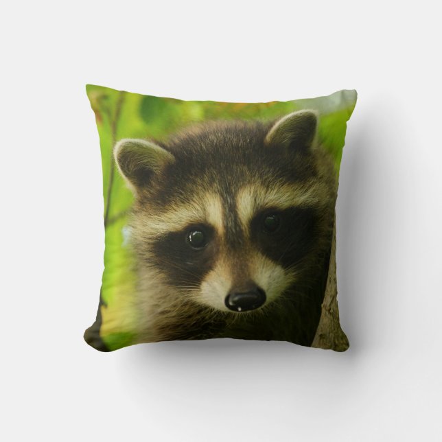 racoon cushion (Front)