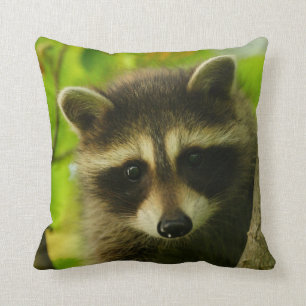 racoon cushion