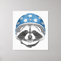 Racoon Daredevil