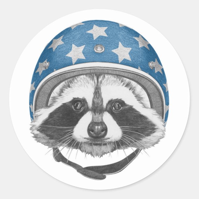 Racoon Daredevil Classic Round Sticker (Front)