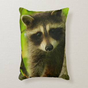 racoon decorative cushion