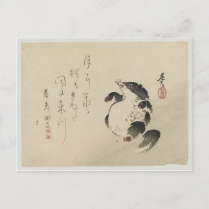 Racoon-dog (Tanuki) by Shibata Zeshin Postcard