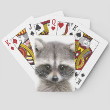 Racoon drawing figure on Playing Cards
