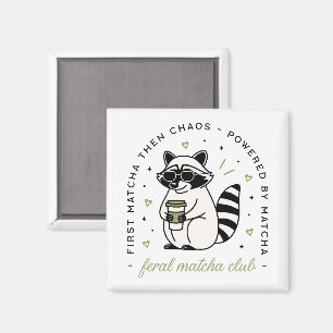 Racoon drinking matcha club funny kawaii animal magnet