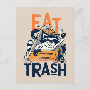 Racoon Eat Trash Postcard