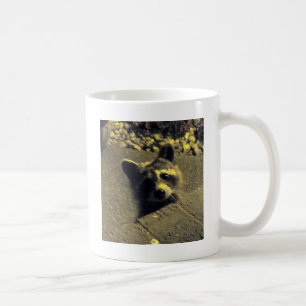 Racoon ~ Face of an Angel Coffee Mug