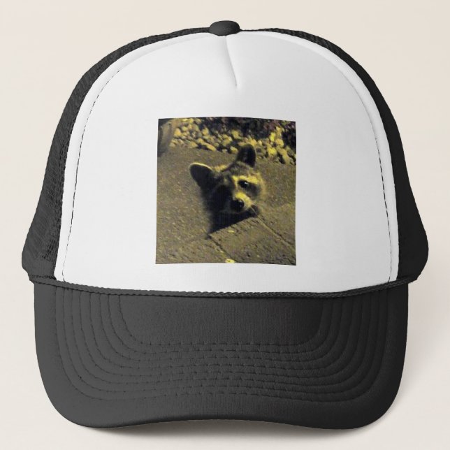 Racoon ~ Face of an Angel Trucker Hat (Front)