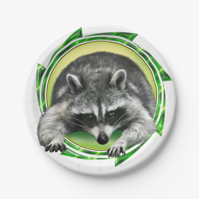 Racoon Face Paper Plate (Front)