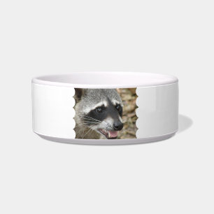 Racoon Face Pet Bowl