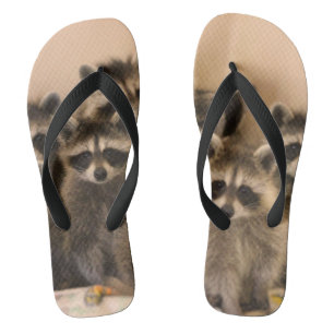Racoon flip flops. jandals