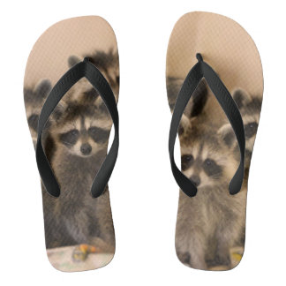 Racoon flip flops. jandals