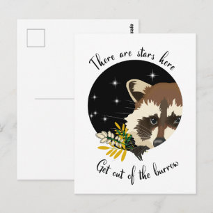 Racoon. Get out of your hole! Postcard
