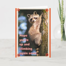 Racoon get well card. card