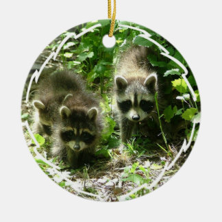 Racoon Habitat Ornament