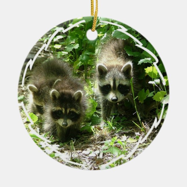 Racoon Habitat Ornament (Front)