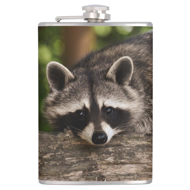 Racoon Hip Flask (Front)