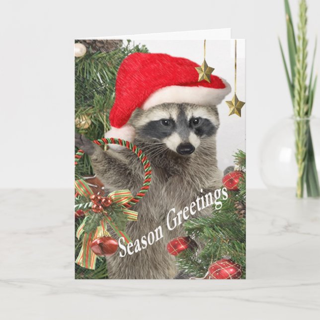 Racoon Holiday Greetings Card (Front)