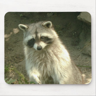 Racoon I Mouse Pad