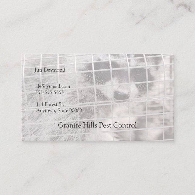 Racoon in a trap business card (Front)
