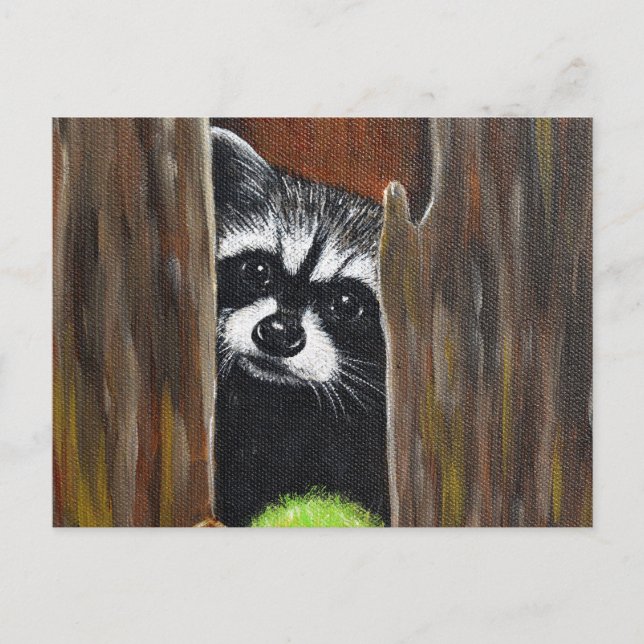 Racoon in a Tree Painting Postcard (Front)