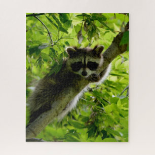 Racoon in Green Tree Cute grey masked racoon Jigsaw Puzzle