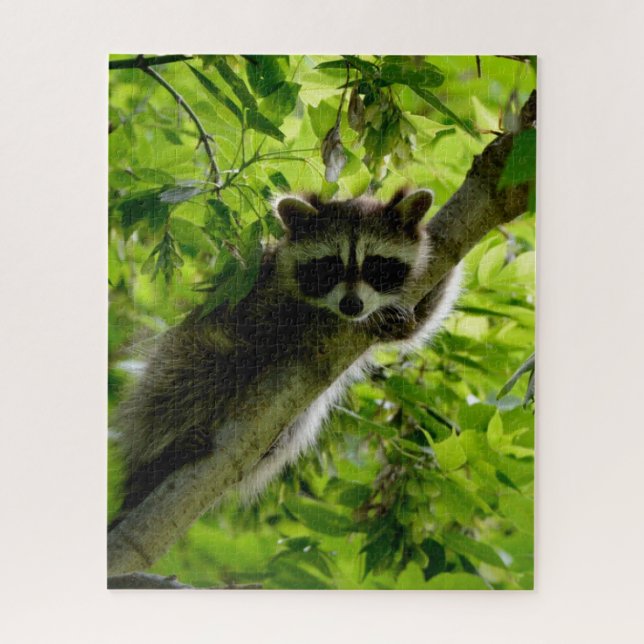 Racoon in Green Tree Cute grey masked racoon Jigsaw Puzzle (Vertical)