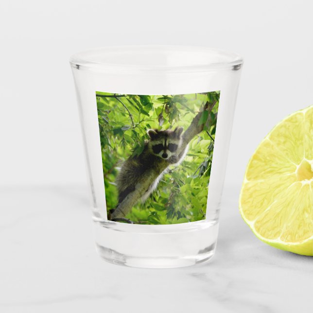 Racoon in Green Tree Cute grey masked racoon Shot Glass (Front)