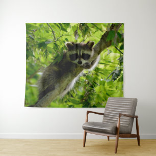 Racoon in Green Tree Cute grey masked racoon Tapestry