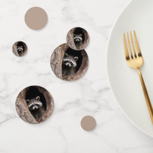 Racoon in Tree Cave  Confetti
