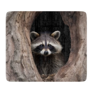 Racoon in Tree Cave Glass Cutting Board