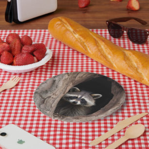 Racoon in Tree Cave Paper Plate