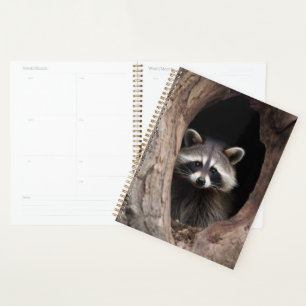 Racoon in Tree Cave Planner