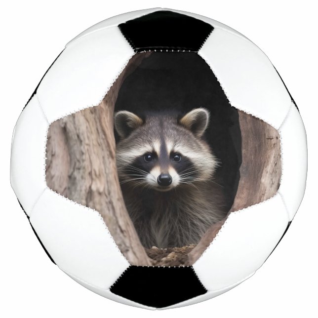 Racoon in Tree Cave  Soccer Ball (Front)