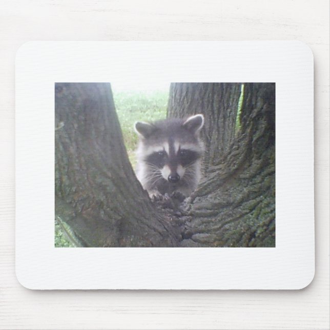 Racoon In Tree Mouse Pad (Front)