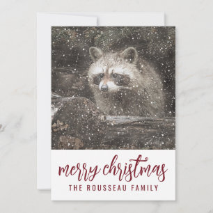 Racoon In Winter Snow Christmas Holiday Card