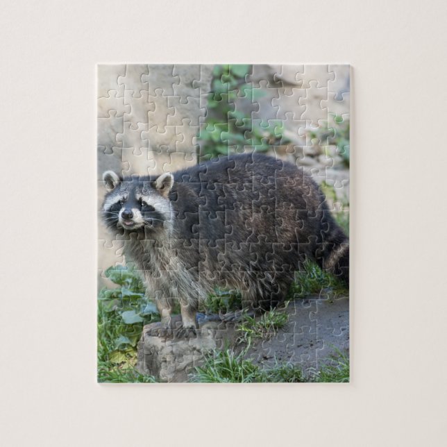 Racoon Jigsaw Puzzle (Vertical)