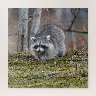 Racoon Jigsaw Puzzle