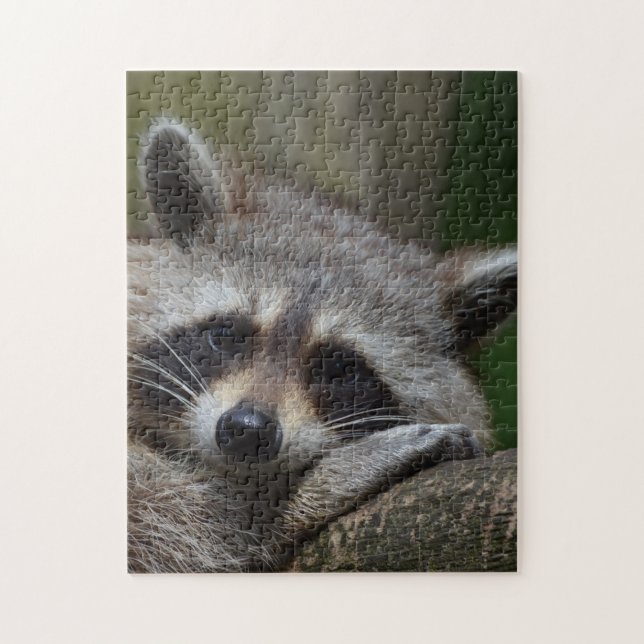 Racoon Jigsaw Puzzle (Vertical)