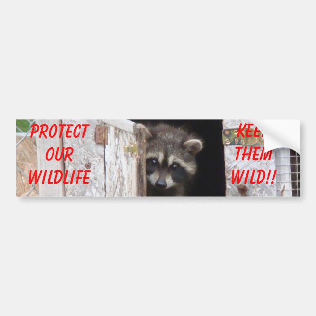 Racoon Keep Them Wild!! Bumoer Sticker (Front)