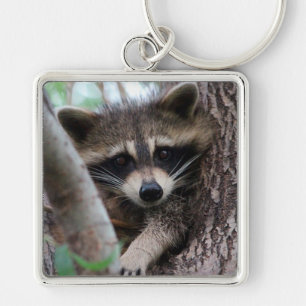 Racoon Key Ring