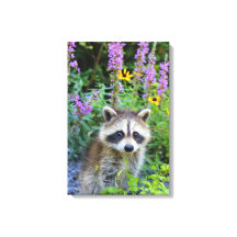 Racoon kit among the flowers canvas print.