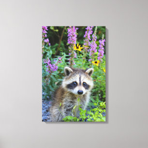 Racoon kit among the flowers canvas print. print