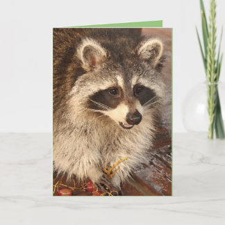 Racoon Kit with Grapes blank note card