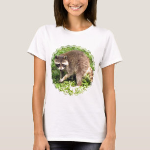 Racoon Ladies Fitted T-Shirt